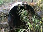 Culvert Crossing, Berwick, Maine