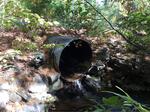 Culvert Crossing, Berwick, Maine