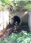 Culvert Crossing, Kennebunkport, Maine