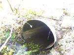Culvert Crossing, Perkins Brook, Sanford, Maine