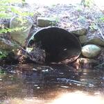 Culvert Crossing, Perkins Brook, Sanford, Maine