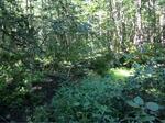 Culvert Crossing, Perkins Brook, Sanford, Maine