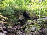 Culvert Crossing, Shapleigh, Maine