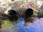 Multiple Culvert Crossing, Trib To Wilson Lake, Acton, Maine