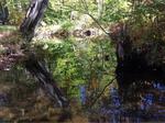 Multiple Culvert Crossing, Trib To Wilson Lake, Acton, Maine