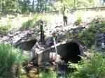 Multiple Culvert Crossing, Saco, Maine
