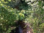 Bridge Crossing, Goosefare Brook, Saco, Maine
