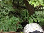 Culvert Crossing, Sanford, Maine