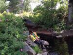 Multiple Culvert Crossing, Batson River, Kennebunkport, Maine