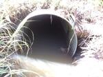 Culvert Crossing, Kittery, Maine