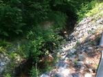 Multiple Culvert Crossing, Little River, Biddeford, Maine