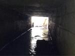 Culvert Crossing, Berwick, Maine