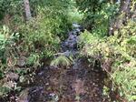Culvert Crossing, Berwick, Maine