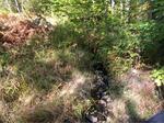Multiple Culvert Crossing, Lebanon, Maine