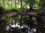 Culvert Crossing, Sanford, Maine