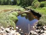 Culvert Crossing, Tyler Brook, Kennebunkport, Maine