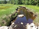 Culvert Crossing, Tyler Brook, Kennebunkport, Maine