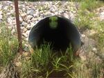 Culvert Crossing, Biddeford, Maine