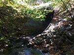 Culvert Crossing, Trib To Salmon Falls River, Acton, Maine