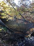 Culvert Crossing, Trib To Salmon Falls River, Acton, Maine