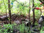 Culvert Crossing, Ogunquit, South Berwick, Maine