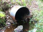 Culvert Crossing, Pine Hill Brook, Berwick, Maine