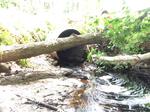 Culvert Crossing, Pine Hill Brook, Berwick, Maine