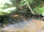 Culvert Crossing, North Berwick, Maine