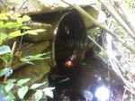 Culvert Crossing, North Berwick, Maine