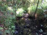 Culvert Crossing, North Berwick, Maine
