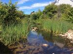 Culvert Crossing, Little River, York, Maine