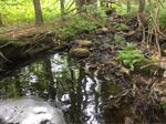 Culvert Crossing, Berwick, Maine
