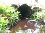 Culvert Crossing, Berwick, Maine