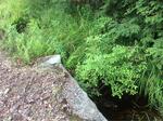 Culvert Crossing, Berwick, Maine