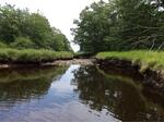 Culvert Crossing, Smith Brook, Kennebunkport, Maine