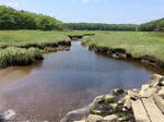 Culvert Crossing, Biddeford, Maine