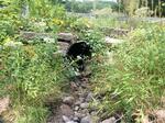Culvert Crossing, Sanford, Maine