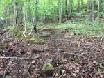 Culvert Crossing, Sanford, Maine