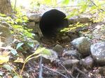Culvert Crossing, York, Maine