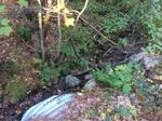 Culvert Crossing, York, Maine