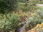 Culvert Crossing, Berwick, Maine