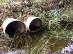 Multiple Culvert Crossing, Long Swamp, Lebanon, Maine