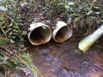 Multiple Culvert Crossing, Long Swamp, Lebanon, Maine