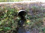 Culvert Crossing, Trib To Wilson Lake, Acton, Maine