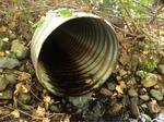 Culvert Crossing, Trib To Wilson Lake, Acton, Maine