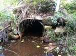 Culvert Crossing, Berwick, Maine