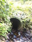 Culvert Crossing, Bragdon Brook, Wells, Maine