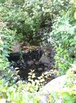 Culvert Crossing, Bragdon Brook, Wells, Maine