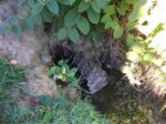 Culvert Crossing, Kennebunkport, Maine