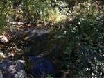 Culvert Crossing, Trib To Salmon Falls River, Acton, Maine